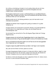 Graugänse-Text-zur-Präsentation-2.pdf